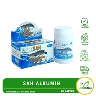 Snakehead Fish Albumin Extract 60 Capsules | SAH Albumin 60 Capsules