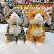 Cute cat doll/cat doll/cute cat doll