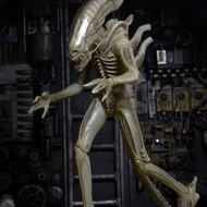 NECA Iron-Blood Wars AVP Alien Contract Alien vs Predator Movable Model Toy