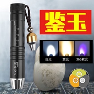 Jade Special Flashlight Strong Light Rechargeable Three Light Sources Small Head Identification Jewe