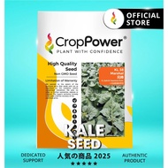 (50 GRAM) Biji Benih Kailan Jepun Marshal 元帅 KL38 CROP POWER F1 Hybrid Japanese Kale seeds 日本芥兰种子 KL
