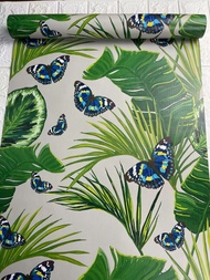 Wallpaper Dinding Leaves Butterfly 10m x 45cm