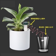 Automatic Watering Flower Self-Absorbing Drip 3-Piece Adjustable Speed Device 3-Piece Handy Tool Pot