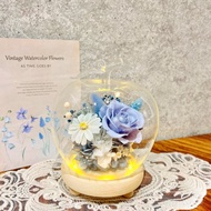 粉霧藍色/永生花/乾燥花/蘋果/夜燈/玻璃盅/玻璃罩