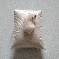 Fine Zeolite Sand/ Zeolite no. 1 (1 kg)