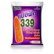 เมล็ดพันธุ์ข้าวโพดเลี้ยงสัตว์ แปซิฟิค 339/ 789 / 995 (3 หุน) เม็ดเล็ก ขนาด 5 กก. ผลผลิตดี ฝักใหญ่ทรง