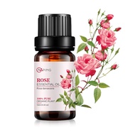 Rose Essential Oil - 100% Pure Organic Natural Plant (Rosa damascena) Rose Oil for Diffuser, Aroma, 