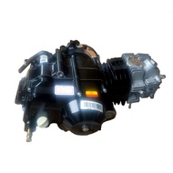 Pit Bike Adults Motorcycle's 110cc/125cc  Engines