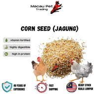 MPT Corn Seed Millet Crude size Chicken feed suppplier malaysia Ducks feed makanan Parrot Food Makan