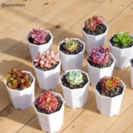 Queenten 5Pcs  Pot Imitation Ceramic Octagonal Small Resin Flower Pot QT