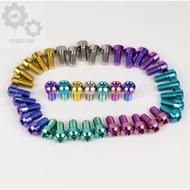 Titanium Bolt M 6 M6 Grade 5 Bolt Thread 10 Key 10 Bolt 10