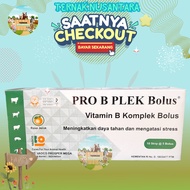 PRO B PLEX 50 BOLUS (1 BOX) - Vitamin B Complex for Animals