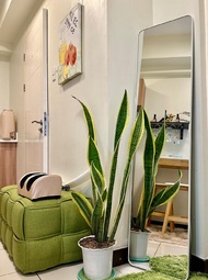 บ้านเดี่ยว 1 ห้องนอน 1 ห้องน้ำส่วนตัว ขนาด  ตร.ม. – มะนิลาเบย์ (888 Suites Serenity/1BR/foot massage