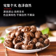 Cicada Metamorphosis Chinese Herbal Materials Cicada Metamorphosis 500g Cicada Metamorphosis Whole S