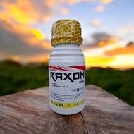RAXON Ampuh Membasmi Rumput Grinting