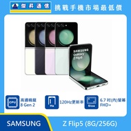   SAMSUNG Z Flip5 (8G/256G)
