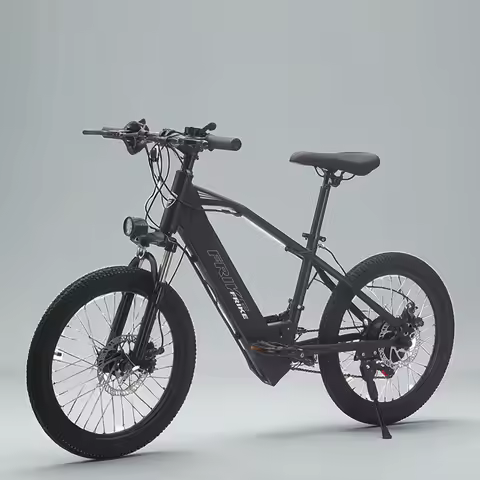 Factory Direct Sales FRIKE Electric Mountain Bike Kids Hot Sale Electric Mountain Bike for Kids Ridi
