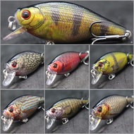 wLure 6.5cm 7.4g Lifelike Painting Upgraded Hooks Flat Body Wide Wobble Floating Hard Bait Variant C