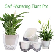 Plant Pot Self Watering Planter Pot Automatic-Watering Planter Flower Pot Square-Plant-Pot for All Plants Minimalist Pot