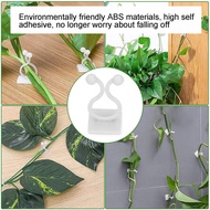 HEO~ 100PCS Plant Climbing Wall Fixture Wall Vines Fixing Clip Self Adhesive Branch Fixture Securing