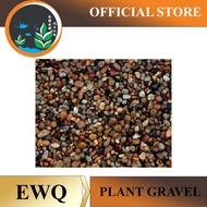 rio red Brown Plant Gravel 1kg (1.75mm - 2.5mm ( channa / plant Sand / Rock)