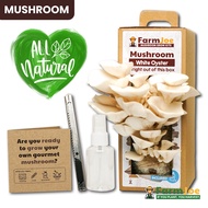 Mushroom • Mushroom Grow Kit • Edible Mushroom • Oyster Mushroom • FarmJoe