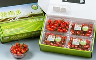 【特價！屏東內埔 有機認證玉女小番茄1斤×4盒】嬌貴溫室栽培的小蕃茄 果肉飽滿多汁