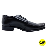 Dolphin Genuine Leather Men's Shoes "D-605"