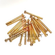 MESIN 10 - 100 PCS Engine Block Bolts 6x70 Key 8 Gold Flange M6X70Bolt Thread 10 Fine Threads