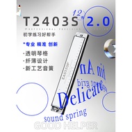 Oriental Ding 24-Hole Polyphonic Harmonica Student C-Key Adult Practice Beginner Harmonica Performan