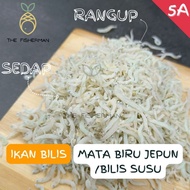 [New] Silver Anchovy Ikan Bilis Mata Biru Susu Small Anchovies 1-2cm Dried Anchovies Dried Anchovy I
