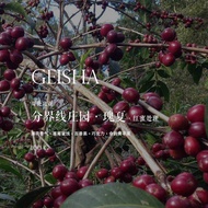 Coffee Beans Order Roasting Colombia Colombia Branch Line Manor Geisha Geisha Red Honey