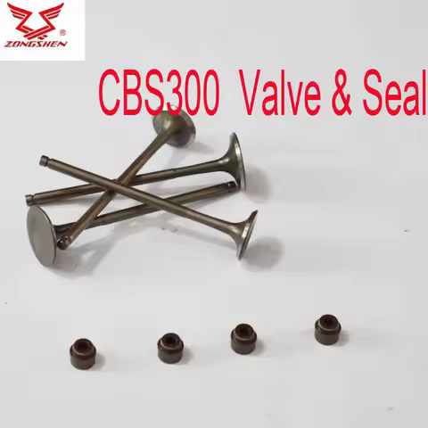 zongshen cbs250 cbs300 engine outlet inlet valve 250cc Motorcycle Engine valve seal