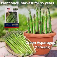 Original Sweet Green Asparagus Seeds (10 Seed) High Yield Organic F1 Vegetable Seeds for Planting Ga