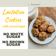 WITH COCONUT SUGAR Oatmeal CRUNCHY Cookies Chocolate Chips Milkbooster Lactation Biskut Tambah Susu