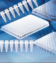 BrandTech 781358 Polypropylene (PP) White 384-well Full Skirt Real-Time PCR Plate (Pack of 50)