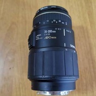 Sigma 70-300mm (for Nikon)