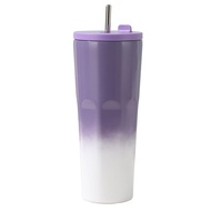 304 Stainless Steel Gradient Straw Thermos Cup SIN8917 Thermos Cup Ice Cup Stainless Steel Cup Straw