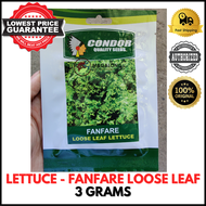 CONDOR SEEDS - LOOSE LEAF LETTUCE SEEDS - FANFARE 3 Grams