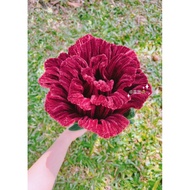 Handmade Giant Rose Flower