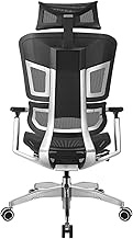 Ergonomic Office Chair Luxury Boss Chair with 3D Armrests, Breathable Mesh Executive Chairs with 5 Gears Adjustable Lumbar Support, Sedentary Comfort Computer Chair/1615 (Color : Black, Size : No)