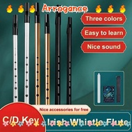 ARROGANCED Aluminum Tin Whistle, Easy-to-learn 6 Holes Irish Whistle Flute, Traditional Rich Tone C/