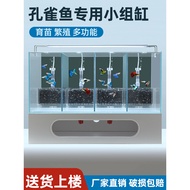 Jualan Besar Set Akuarium Guppy Guppy Istimewa Besar Versi Pasir Batu Penapis Sistem Peri Air Akuari