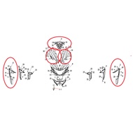 [100% ORIGINAL] WMOTO ES125 SPARE PART (PRE-ORDER BY CUSTOMER) INCLUDE 5 ITEMS