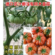 （Imported Seeds）Imported Big Tomato Seeds Organic Old Variety Soft Flesh Old Tomato Succulent Super Sweet Fruit Tomato F