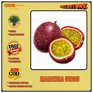 biji benih Buah Markisa Ungu Manis Super Benih Tanaman Buah Markisa Madu / 10 biji