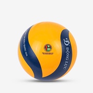 Swirl Flower Air Volleyball DL 200 - DYNAMIC VOLLEYBALL