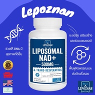 พร้อมส่ง Lepoznan Liposomal NAD+ 500 mg + Trans-Resveratrol 300 mg Nicotinamide Riboside 60 Softgels