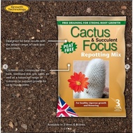 Growth Technology Cactus & Succulent Focus Repotting Mix 8 Liters (Cactus Soil, Succulent Soil)