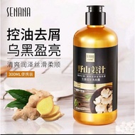 Shampoo Senana Marina Shampoo Refreshing Oil Control Ginger  OR knotweed Polygonum multiflorum fleeceflower root Shampoo